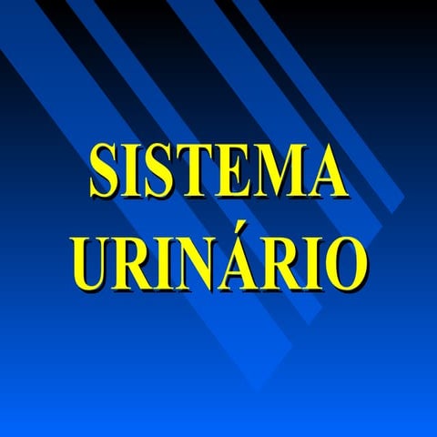 Th sistemaurinario1-101204123111-phpapp02