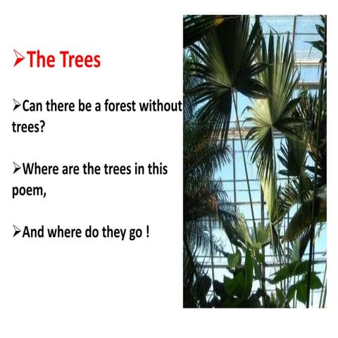 The trees