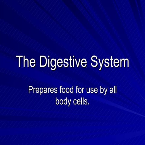 The Digestive System   Powerpoint