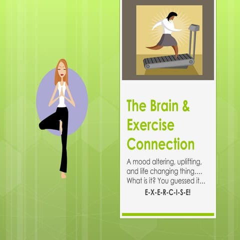 The brain __exercise_connection_-_power_point_presentation final