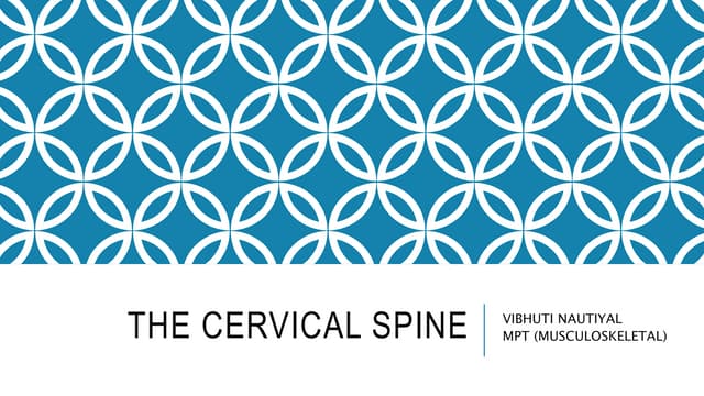 The cervical spine
