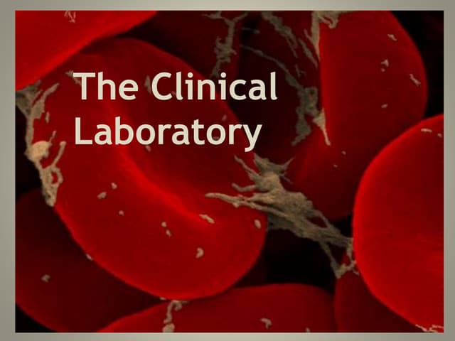 The clinical laboratory