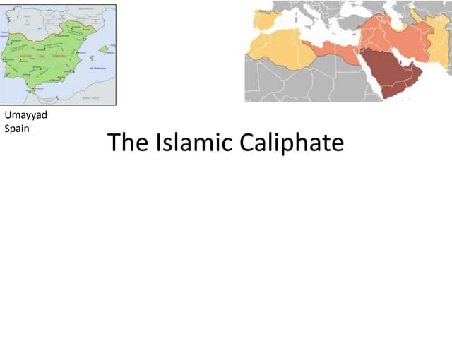 The islamic caliphate
