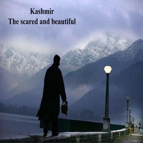 The kashmir conflict