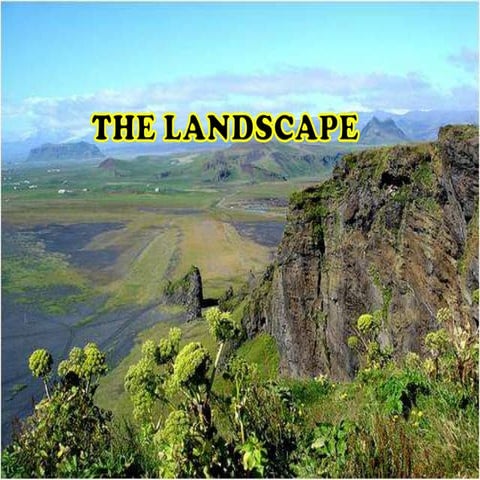 The landscape