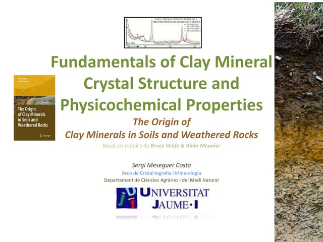The origin of clay minerals  1 1