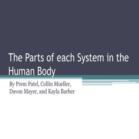 The parts of each system in the human body