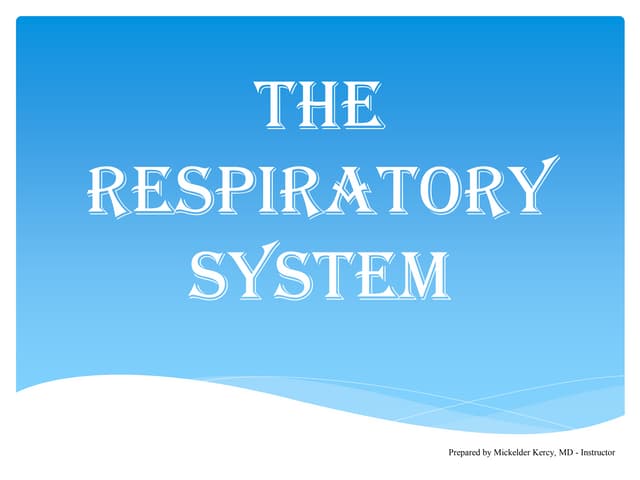 The respiratory system