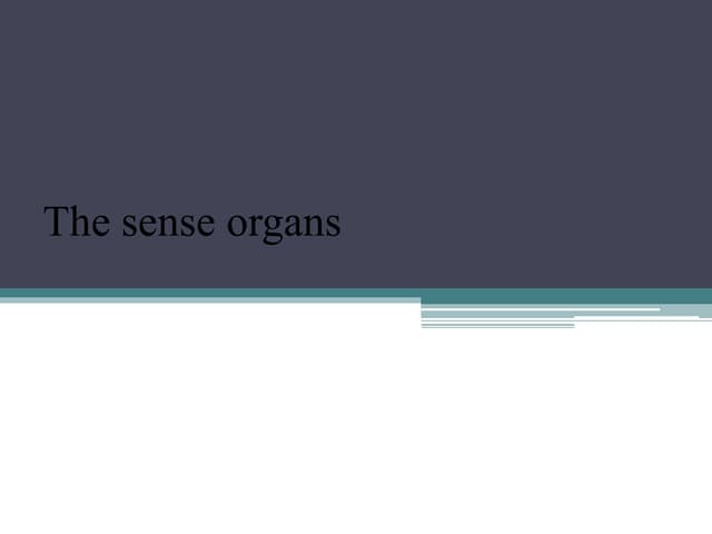 The sense organs