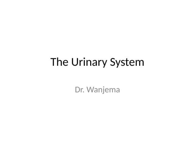 The urinary system's function is to filter blood and create urine as a waste ...