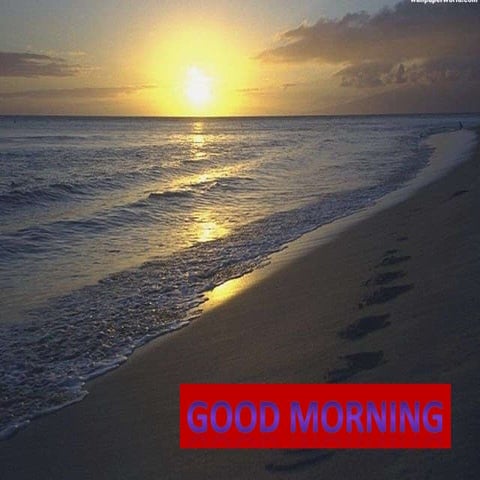 Total hip arthroplasty