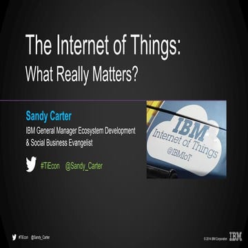 The Internet of Things (IoT) - What Really Matters for a Start-Up