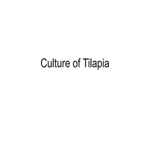 Tilapia culture1.pptx