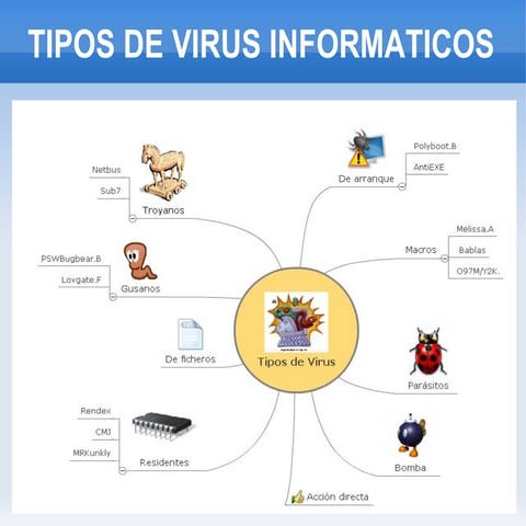 Tipo de virus