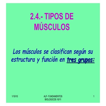 Tipos de musculos 4