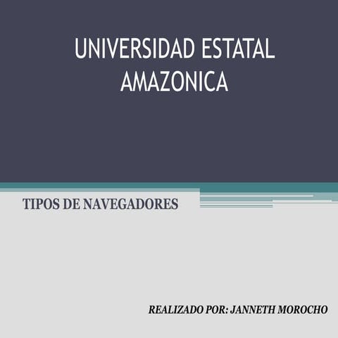 Tipos de navegadores