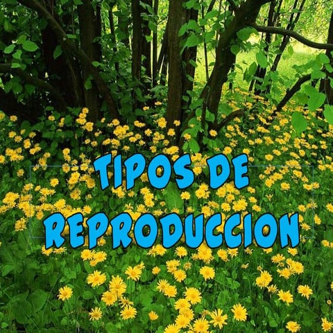 Tipos de reproduccion+