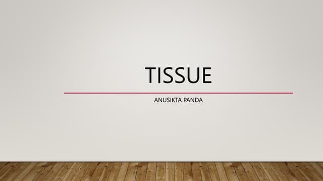 anatomy and physiology of tissue and the functional character