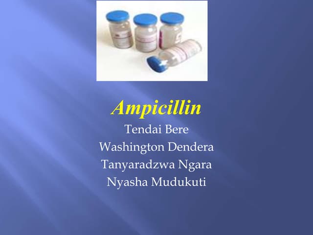 Ampicillin Production