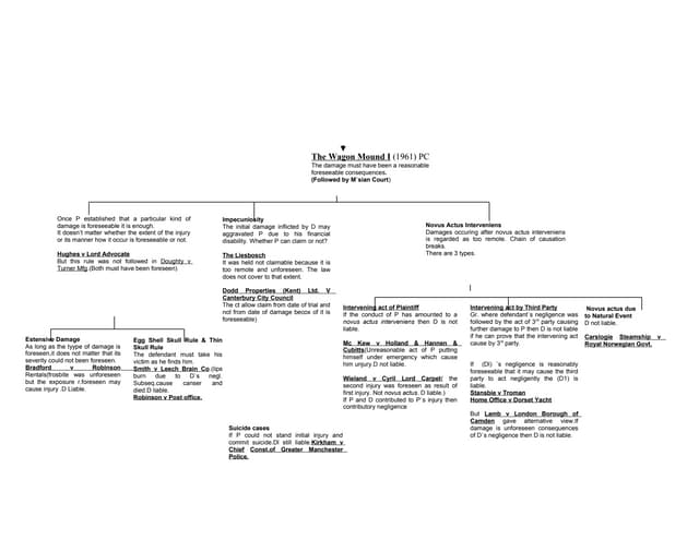 Torts causation in_law