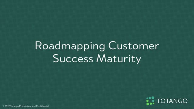 Roadmapping Customer Success Maturity