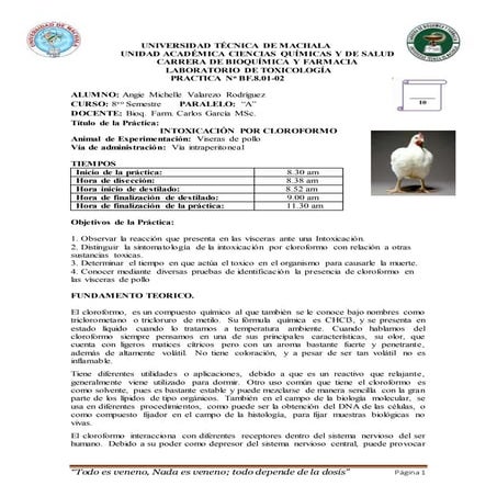 INTOXICACION POR CLOROFORMO - PRACTICA