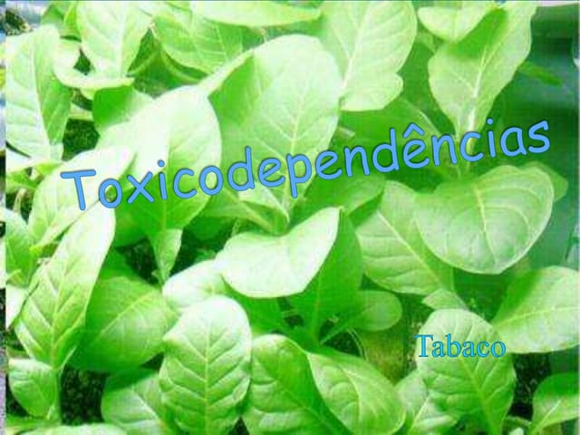 Toxicodependências