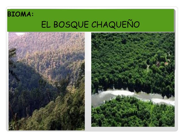 Trabajo  de naturales 2