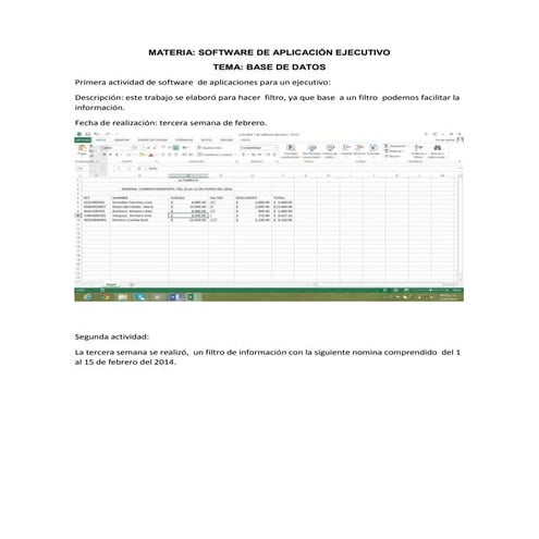 Trabajo  de software de ejecutivooo