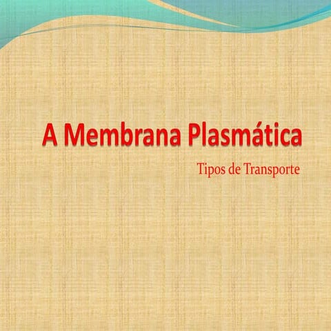 Membrana Plasmática