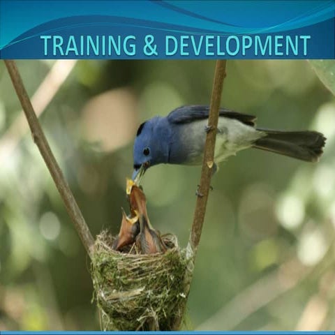 TRAINING AND DEVELOPMENT, BENEFITS, APPROACH AND ITS DIFFERENT TYPES