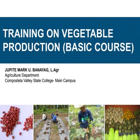 Training on Vegetable Production (Basic Course)