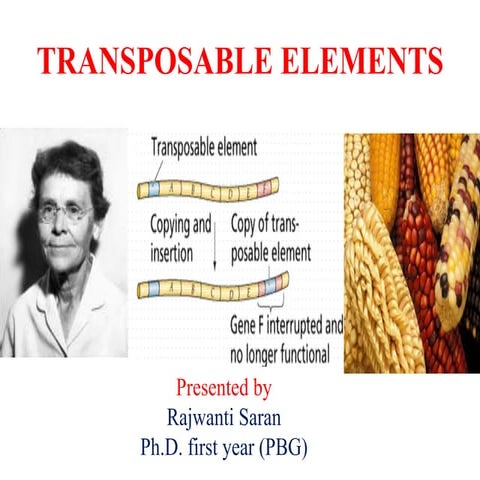 Transposable elements