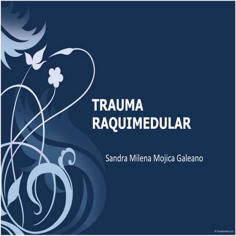 Trauma raquimedular