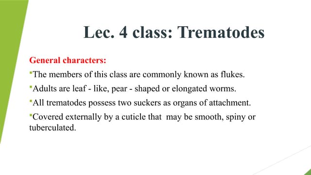 Trematodes.pptx عرض باور بوينت مجاني تماما