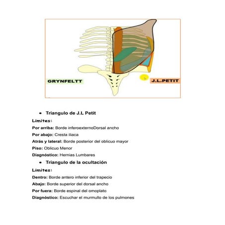 Triangulo de j.l petit