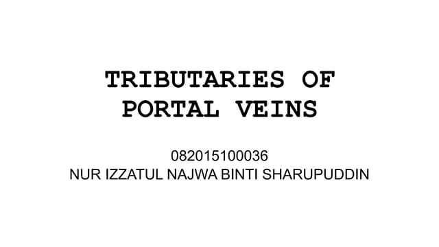 Tributaries of portal veins