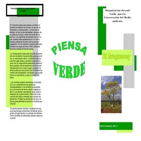 Triptico de el araguaney