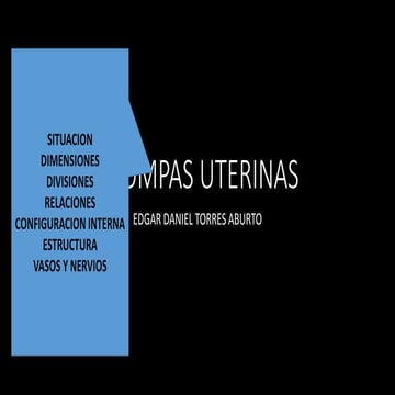 Anatomía - Trompas uterinas