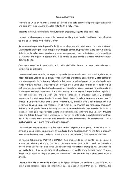 Tronco de la vena renal  anatomia 5 ultimas hojas