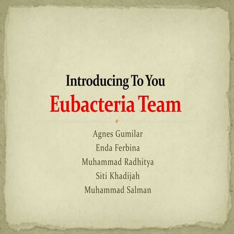 Presentasi Eubakteria