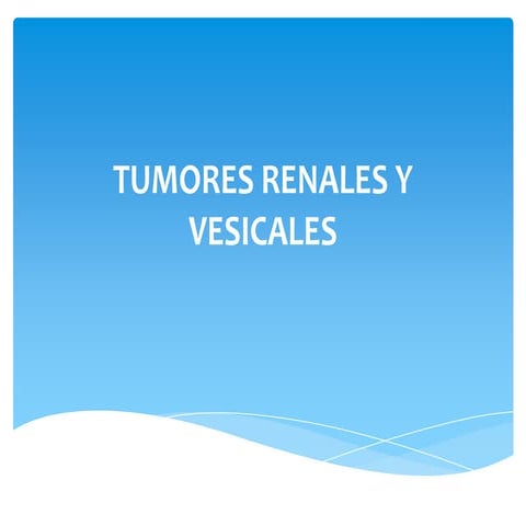 Tumores renales y vesicales