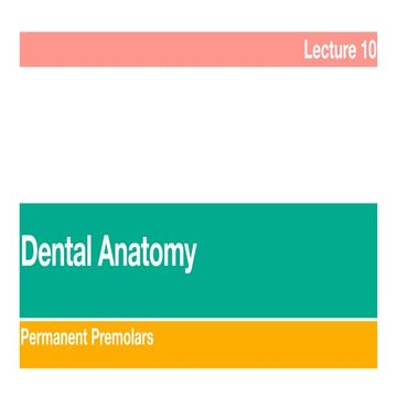 Tutorial, Lecture   10.pdf