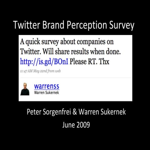 Twitter Brand Perception Survey