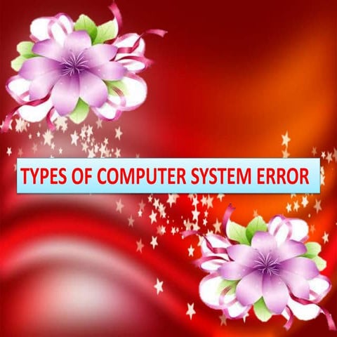 TYPES OF COMPUTER SYSTEM ERRORS
