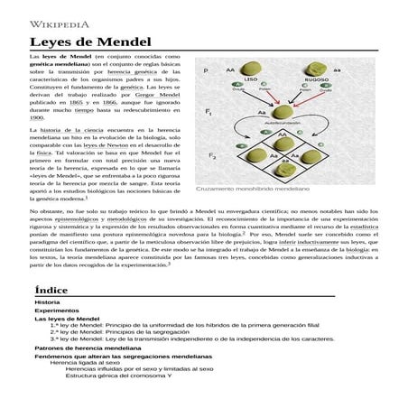 U1 pp 29 leyes de mendel en el trabajo justo