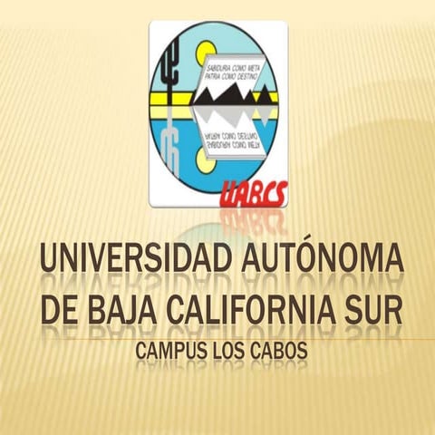 Uabcs promocion camino