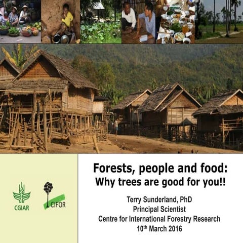 Forests, people and food: Why trees are good for you!!