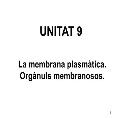 Biologia 2n Batxillerat. U09. La membrana plasmàtica. Orgànuls membranosos