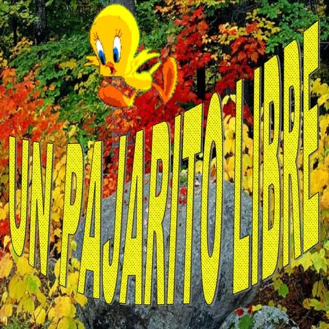 Un Pajarito Libre